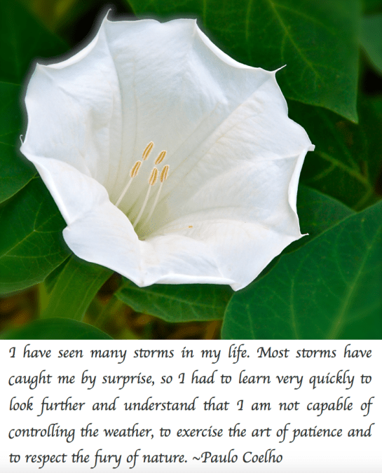 Screen Shot 2018-03-04 at 10.09.03 PM.png