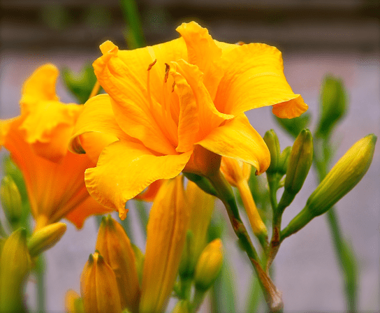 Screen Shot 2018-03-06 at 9.04.28 PM.png