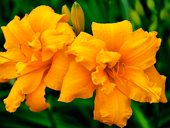 Screen Shot 2018-03-06 at 9.13.36 PM.png