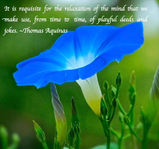 Screen Shot 2018-03-07 at 8.24.06 PM.png