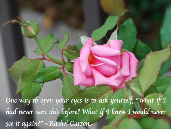 Screen Shot 2018-03-07 at 8.28.29 PM.png