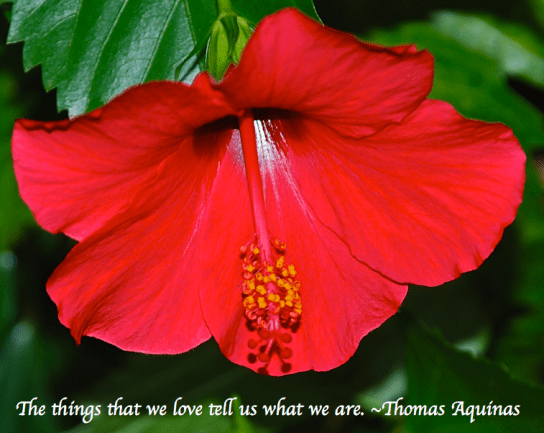 Screen Shot 2018-03-07 at 8.31.08 PM.png