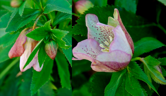 Screen Shot 2018-03-08 at 10.01.20 PM