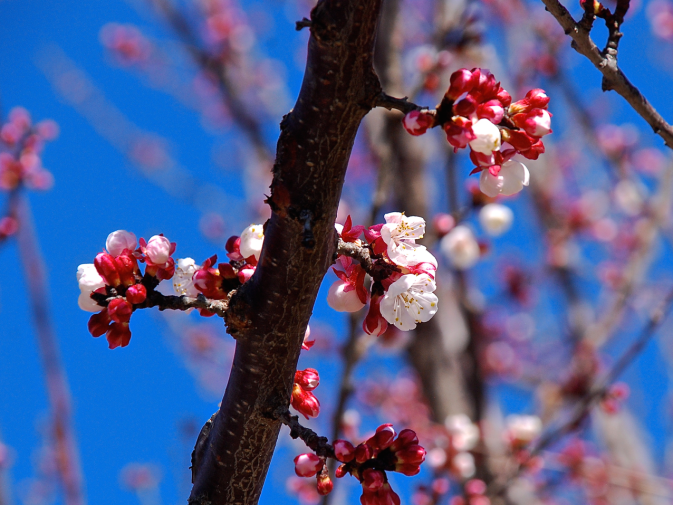 Screen Shot 2018-03-08 at 9.55.05 PM