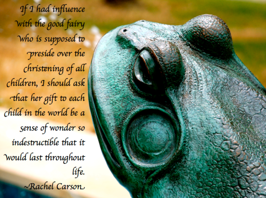 Screen Shot 2018-03-09 at 7.22.11 PM.png