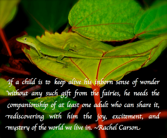 Screen Shot 2018-03-09 at 7.29.08 PM.png