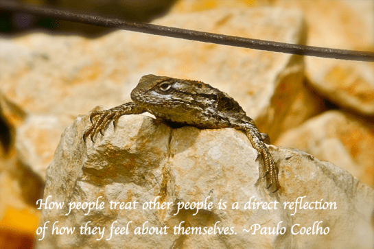 Screen Shot 2018-03-09 at 7.47.13 PM.png