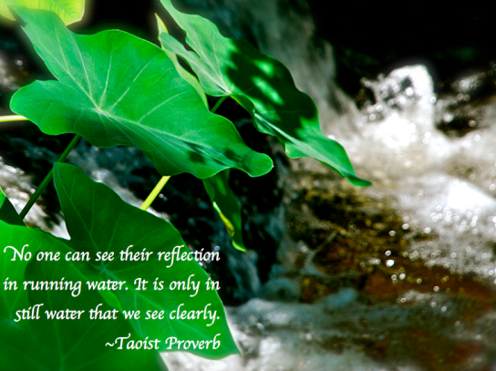 Screen Shot 2018-03-09 at 8.09.47 PM.png