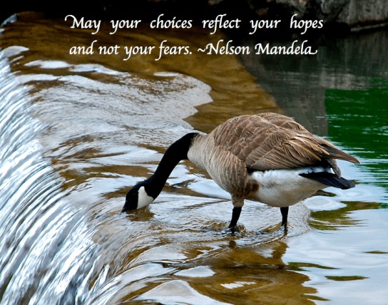 Screen Shot 2018-03-09 at 8.12.34 PM.png