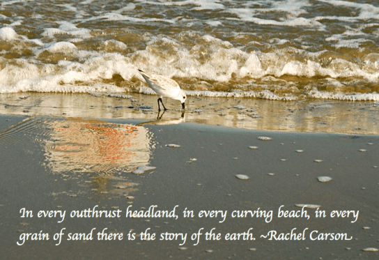 Screen Shot 2018-03-09 at 8.32.59 PM.png