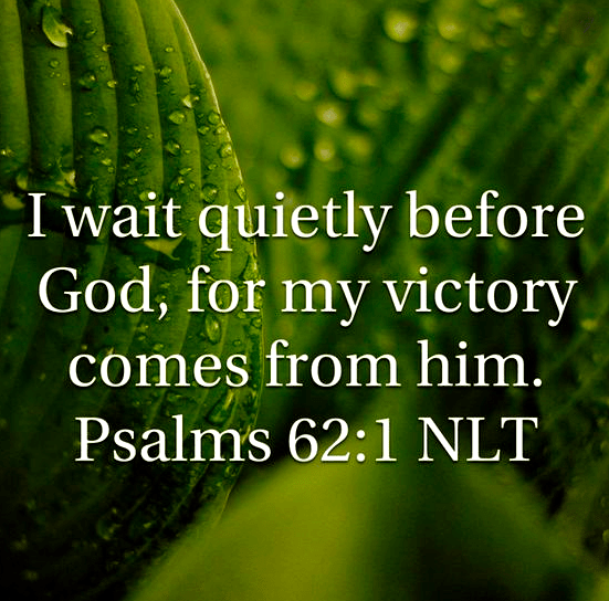 Screen Shot 2018-03-09 at 8.42.45 PM.png