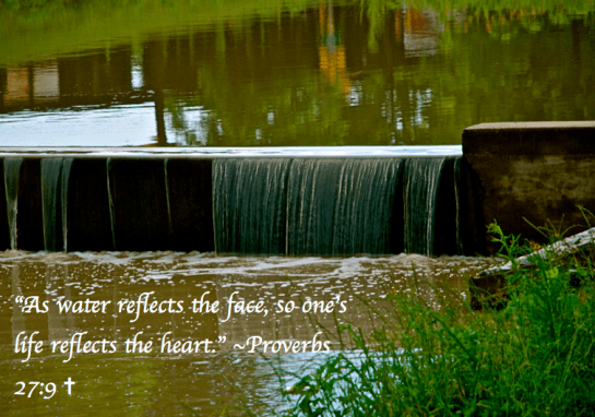 Screen Shot 2018-03-09 at 8.51.32 PM.png