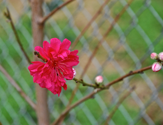 Screen Shot 2018-03-11 at 5.06.37 PM