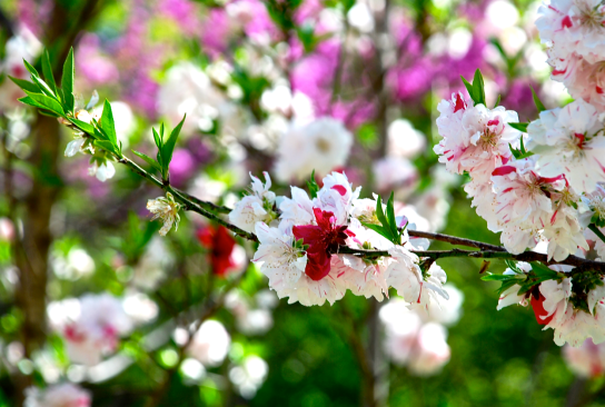 Screen Shot 2018-03-11 at 6.34.18 PM.png