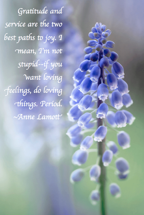 Screen Shot 2018-03-13 at 11.00.13 PM.png