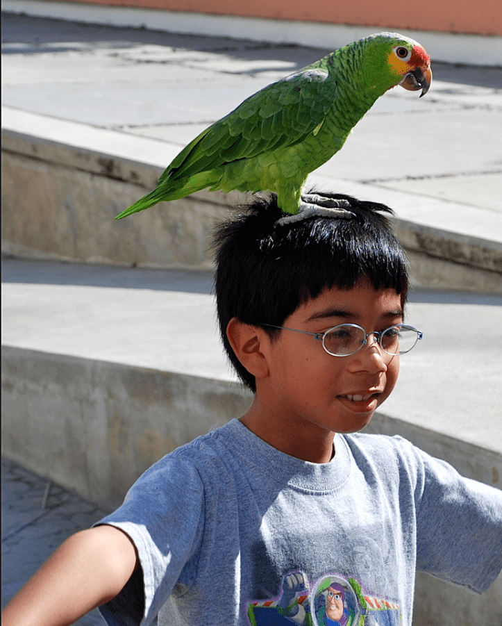 Screen Shot 2018-03-14 at 9.33.13 PM.png