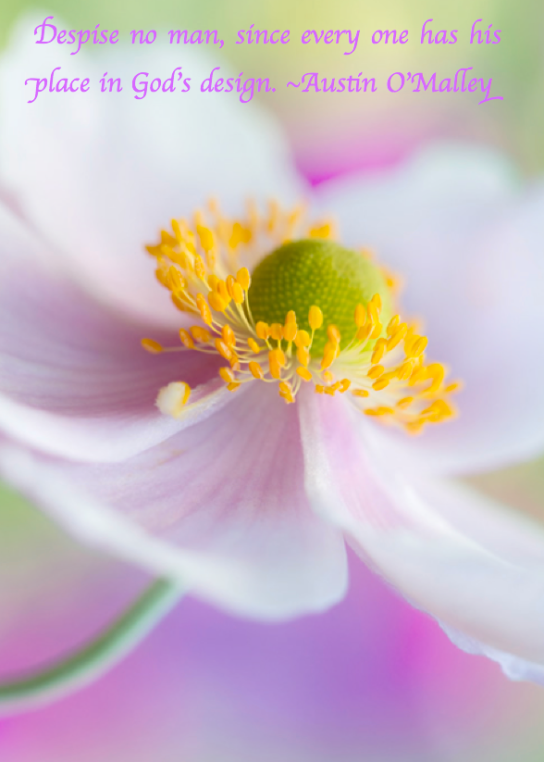 Screen Shot 2018-03-15 at 10.56.02 PM.png