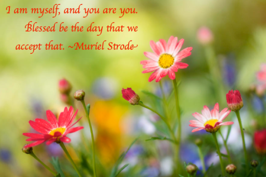 Screen Shot 2018-03-15 at 10.58.05 PM.png