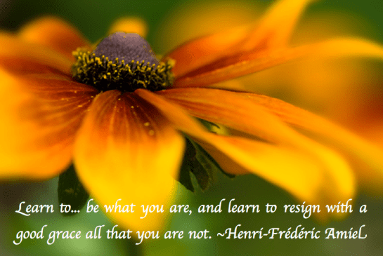 Screen Shot 2018-03-15 at 11.02.39 PM.png