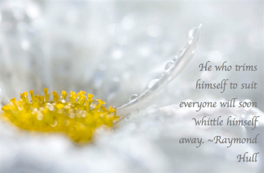 Screen Shot 2018-03-15 at 11.06.47 PM.png