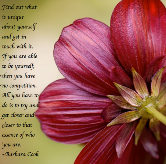 Screen Shot 2018-03-15 at 11.12.07 PM.png