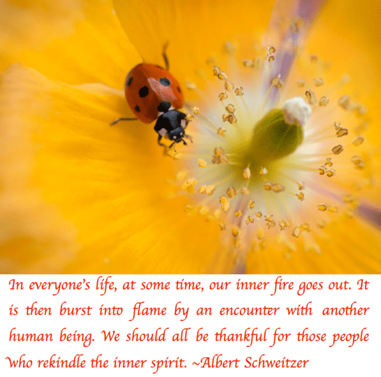 Screen Shot 2018-03-16 at 11.13.04 PM.png