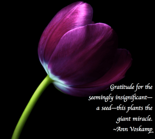 Screen Shot 2018-03-17 at 10.01.43 PM.png