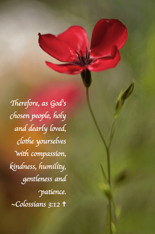 Screen Shot 2018-03-17 at 10.08.41 PM.png