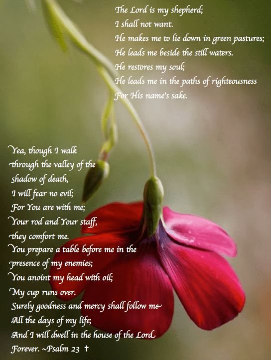 Screen Shot 2018-03-17 at 10.19.33 PM.png