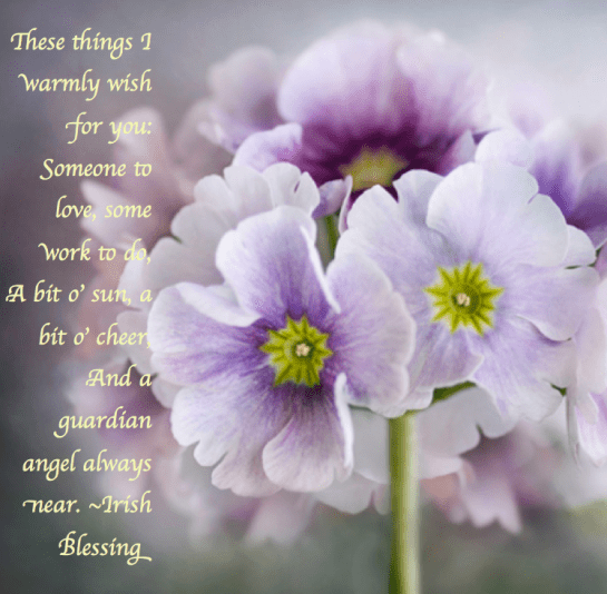 Screen Shot 2018-03-17 at 9.41.34 PM.png