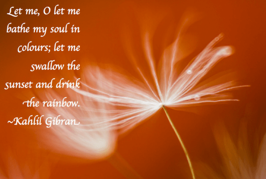 Screen Shot 2018-03-17 at 9.52.08 PM.png