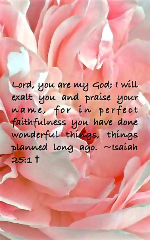 Screen Shot 2018-03-18 at 10.41.29 PM.png