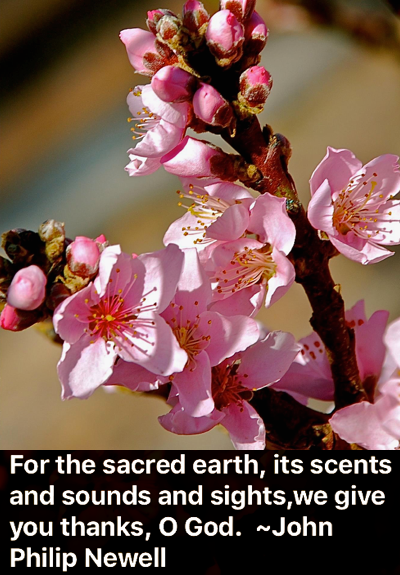 Screen Shot 2018-03-18 at 10.46.16 PM.png