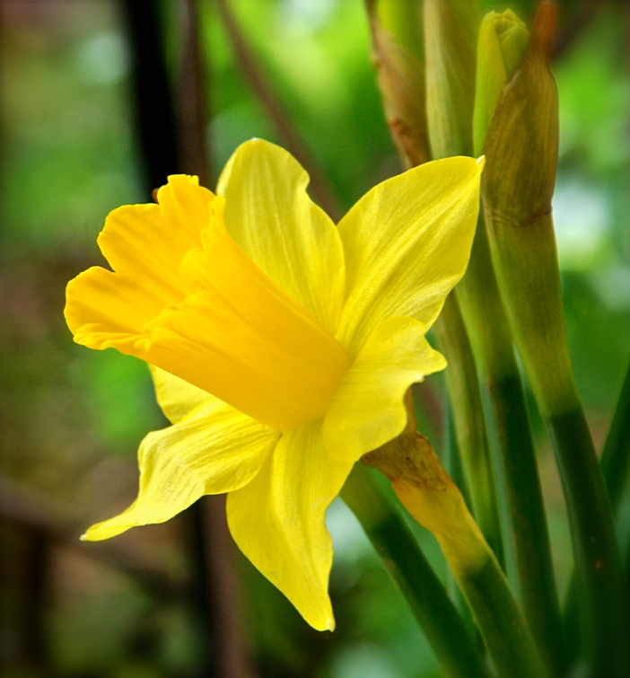 Screen Shot 2018-03-19 at 9.47.43 PM.png