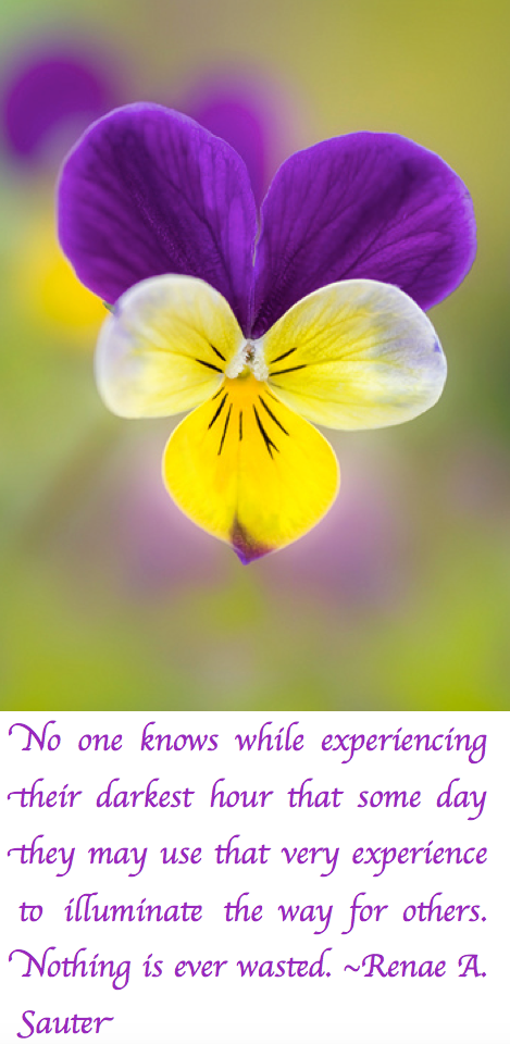 Screen Shot 2018-03-21 at 10.14.38 PM.png