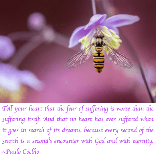 Screen Shot 2018-03-21 at 10.17.27 PM.png