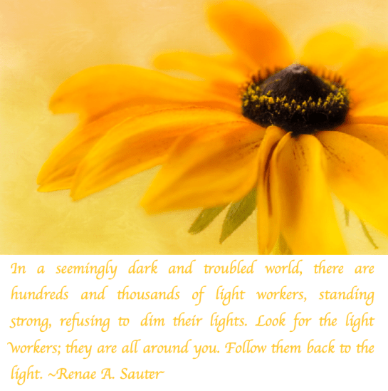 Screen Shot 2018-03-21 at 10.20.56 PM.png