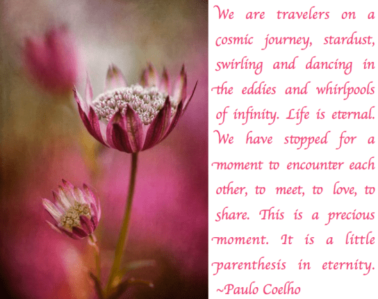 Screen Shot 2018-03-21 at 10.25.11 PM.png