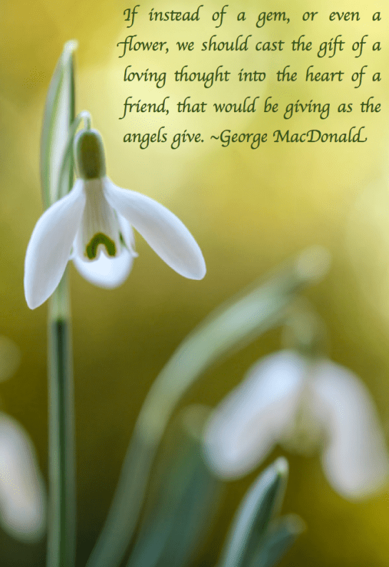 Screen Shot 2018-03-21 at 10.29.28 PM.png