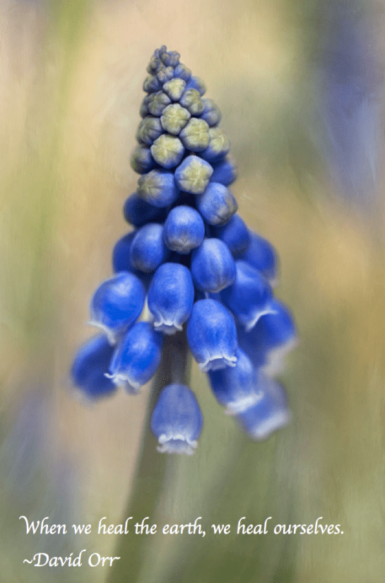 Screen Shot 2018-03-22 at 10.45.15 PM.png