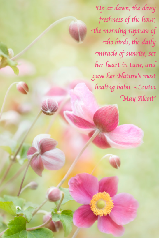 Screen Shot 2018-03-22 at 10.51.30 PM.png