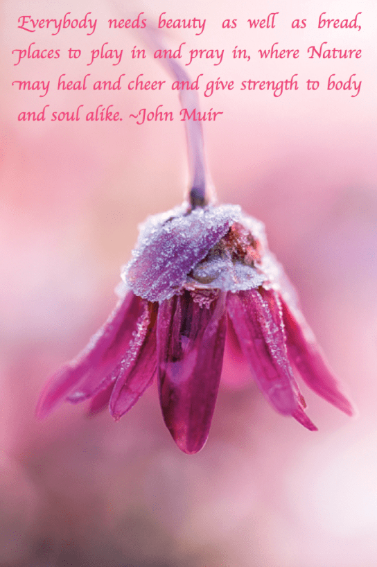 Screen Shot 2018-03-22 at 10.54.24 PM.png