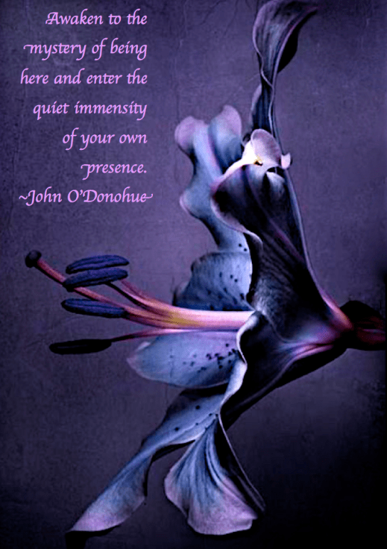 Screen Shot 2018-03-24 at 9.05.10 PM.png