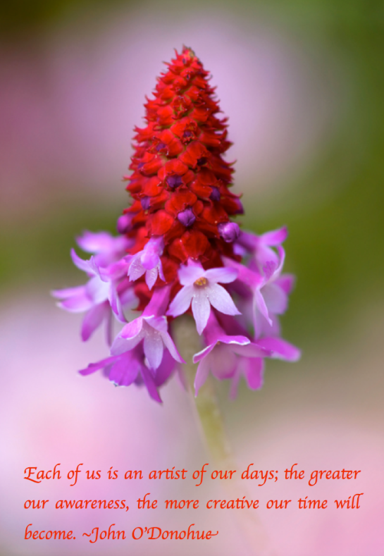 Screen Shot 2018-03-24 at 9.08.34 PM.png