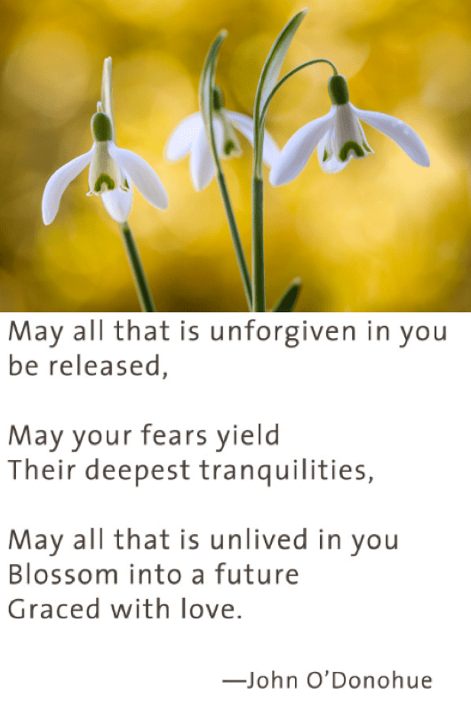 Screen Shot 2018-03-24 at 9.10.58 PM.png