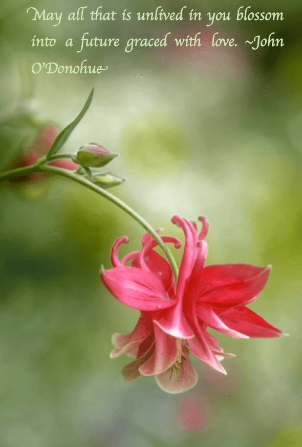 Screen Shot 2018-03-24 at 9.18.10 PM.png