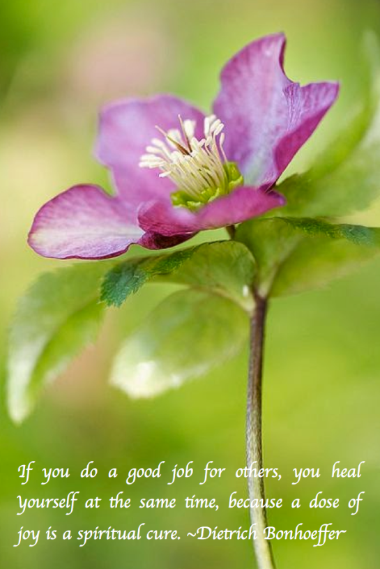 Screen Shot 2018-03-25 at 10.19.37 PM.png