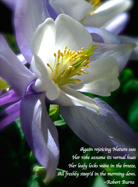 Screen Shot 2018-03-27 at 4.15.25 PM.png