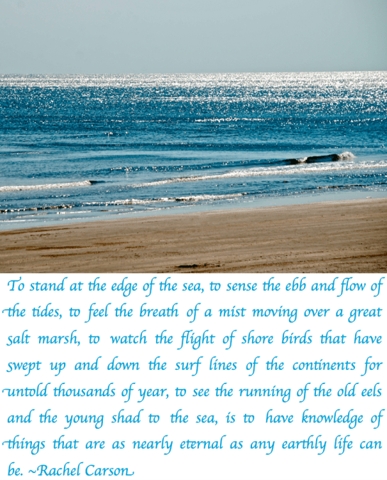 Screen Shot 2018-03-28 at 9.01.23 PM.png