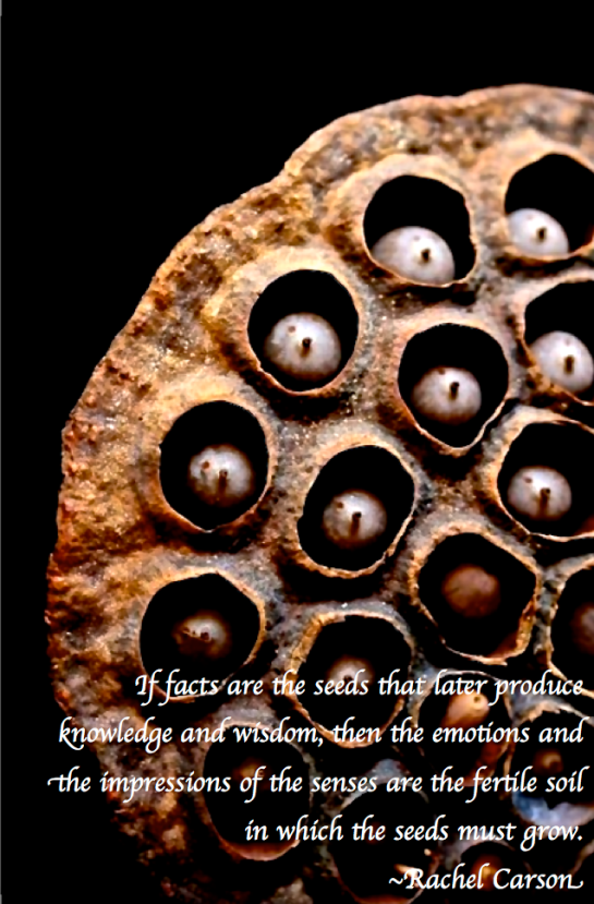 Screen Shot 2018-03-28 at 9.11.25 PM.png